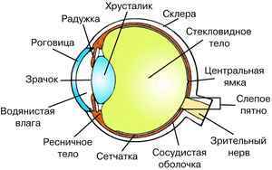 простые диеты для похудения